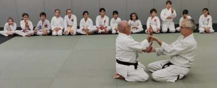 technique-4-te-kagami-par-antoine-entrainement-jeunes-self-defense-aiki-jutsu-arts-martiaux-montauban-ceamt-20230928_123150