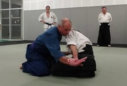 technique-aiki nage-aiki-jutsu-arts-martiaux-montauban-ceamt-20230222_204858