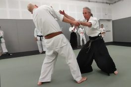 technique-atemi-d-arret-projection-par-poignet-aiki-jutsu-arts-martiaux-montauban-ceamt-20230407_195803