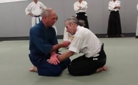 technique-hiza gatame-aiki-jutsu-arts-martiaux-montauban-ceamt-20230222_201027