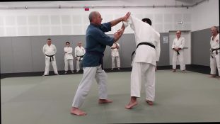 technique-mune-osae-dori-avec-finition-sandan-self-defense-aiki-jutsu-arts-martiaux-montauban-ceamt-20231129_195857