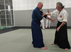 technique-ude-osae-dori-en-suwari-waza-1-avec-2-finitions-aiki-jutsu-arts-martiaux-montauban-ceamt-20230224_200205