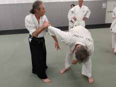technique-ude osae dori-tashi-wasa-aiki-jutsu-arts-martiaux-montauban-ceamt-20230113_203255