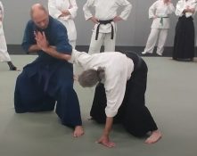 technique-yoko-katate-puis-kono-gaeshi-aiki-jutsu-arts-martiaux-montauban-ceamt-20230111
