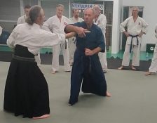 technique-yoko uchi komi dori nidan-aiki-jutsu-arts-martiaux-montauban-ceamt-20230111_200230