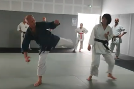 techniques-echauffement-coups-de-pieds-ate-waza-karate-aiki-jutsu-ceamt-montauban